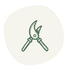 -knipper
