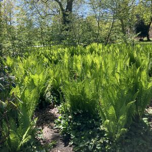 img8095